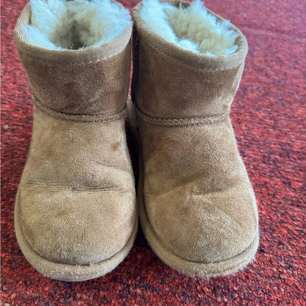UGG lot size